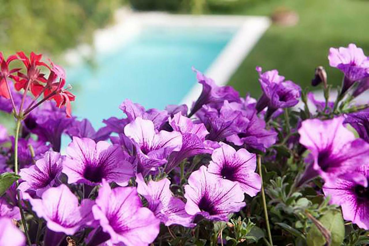 Mary'S Dream Bed & Breakfast Manoppello Exterior foto